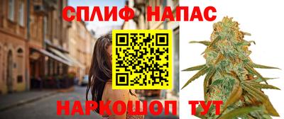 гашик Краснодар