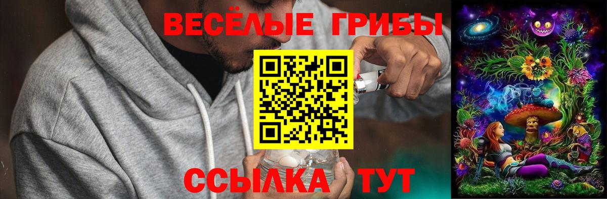 Псилоцибиновые грибы ЛСД  Вход с VPN  Псилоцибиновые грибы ЛСД  Екатеринбург 
